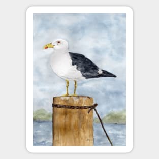 Seagull at the harbor Sticker